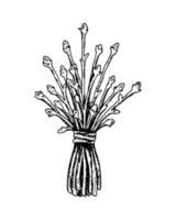 manojo dibujado de plantas secas aisladas en blanco. ilustración vectorial en estilo boceto. vector