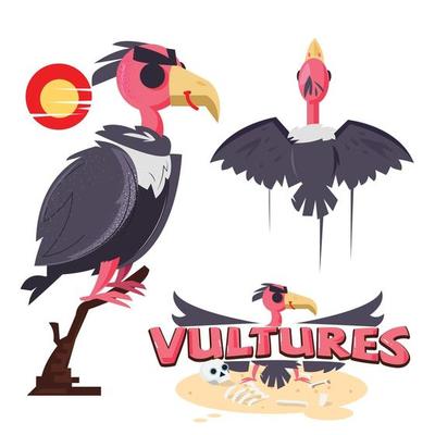 vulture bird set with logo - vector illustration