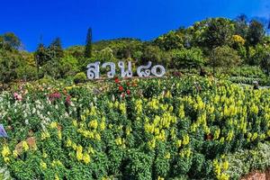 Chiang Mai, Thailand 2017- Doi Ang Khang photo