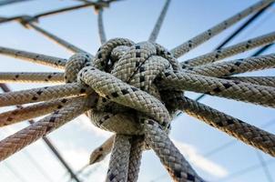 Close-up of a knot photo