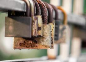 Rusty locks on a fence photo