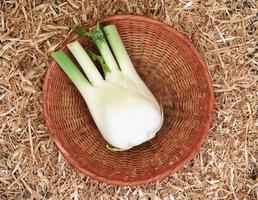 Fennel bulb in a wicker bowl on a bed of straw photo