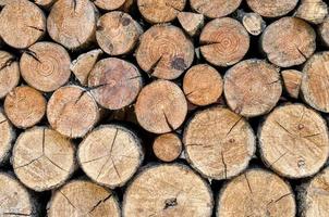 fondo de troncos de madera