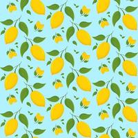 Seamless pattern with lemons on branch. vector