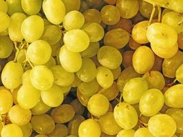 Close-up of yellow grapes photo