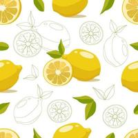 Lemon seamless pattern on white background vector