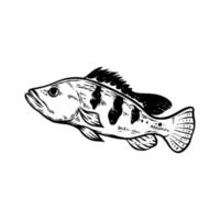 bass fish silhouette vector