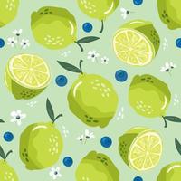 Summer seamless pattern with lime and blossom. Sweet background vector