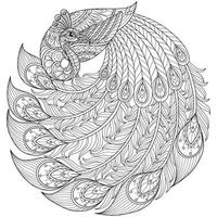 Peacock on white background. Hand drawn sketch for adult colouring book vector