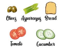 a set of ingredients consisting of asparagus, toast, tomatoes, cucumbers and olives vector