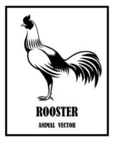 Rooster animal vector eps 10