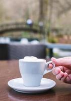 mano femenina, tenencia, café foto