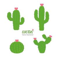 plantas en forma de cactus que florecen en forma de corazón. el concepto de amantes que cultivan cactus.