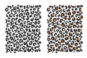 Leopard background pattern Leopard animal skin isolated on white background vector