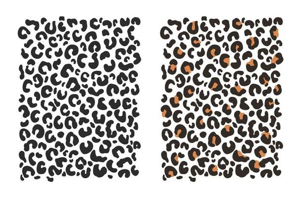 Leopard background pattern Leopard animal skin isolated on white background