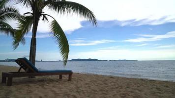 chaise de plage avec palmier sur la plage video