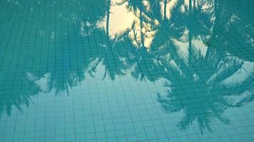 Reflection of Palm Trees in the Pool Water video