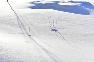 superficie nevada en invierno con sombras en la noche foto