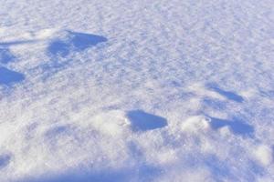 Snowy surface in winter with shadows in the evening photo