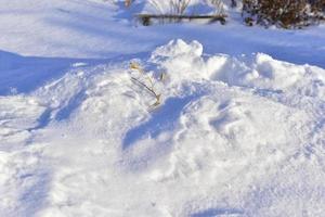 Snowy landscape with tree branches in the garden photo
