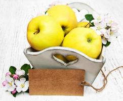 Apples and apple tree blossoms photo