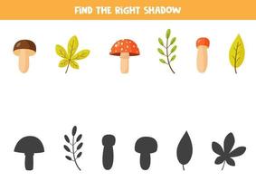 Find correct shadow of autumn leaves and mushrooms. vector