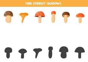 Find right shadow of cute autumn mushrooms. vector