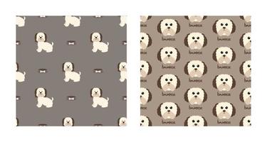 Set Character Seamless Pattern Animal Of Cute Havanese Dog Can Be Used as Designs Wallpapers or Backgrounds. Vector Illustration