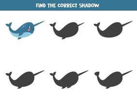 Find the correct shadow of cartoon narwhal. vector