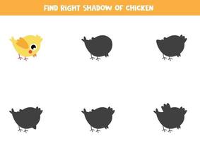 Find correct shadow of cute yellow baby chicken. vector