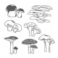 Mushroom Illustrations Set vector