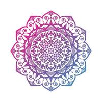 colorful mandala design vector