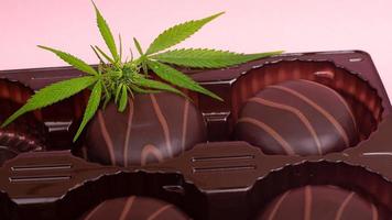 Chocolate edible sweets and medical medicinal cannabis photo