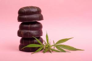 Chocolate cookie with THC and CBD extract on pink background photo