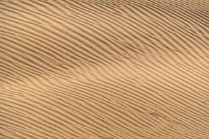 Beautiful sand dune in Thar desert, Jaisalmer, Rajasthan, India. photo