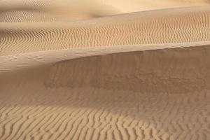 Beautiful sand dune in Thar desert, Jaisalmer, Rajasthan, India. photo