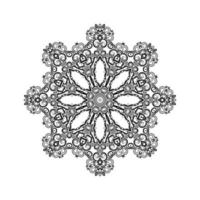 Ethnic decorative mandala design isolated background vector