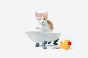 Gatito naranja y blanco en una bañera. foto