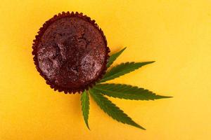 Chocolate muffin with cannabis extract on yellow background photo