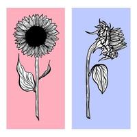 girasoles dibujados a mano sobre fondo de colores vector