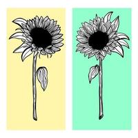 girasoles dibujados a mano sobre fondo de colores vector