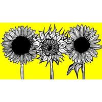 sunflower on colorful background for greeting card, line art. Hand-drawn decorative blooming sunflower elements in vector