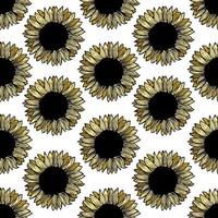 Seamless sunflower pattern vector