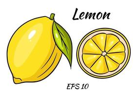 Bright yellow lemon. A whole lemon and a sliced wedge. Vector illustration on a beome background.