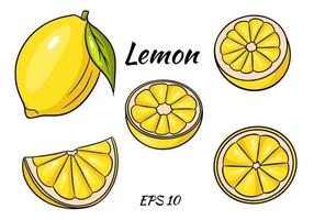 Bright yellow lemon. A whole lemon and a sliced wedge. Drawing for design and decoration. vector