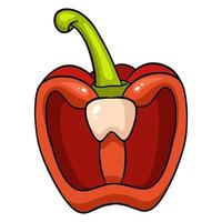 Half of red bell pepper. Juicy red pepper. vector