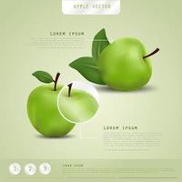 manzana realista. vector de fruta y manzana fresca.