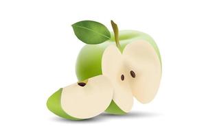 manzana realista. vector de fruta y manzana fresca.