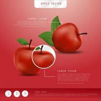 Realistic apple. Fruit and Fresh apple vector. vector