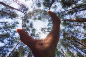 Person holding a glass ball in a forest photo